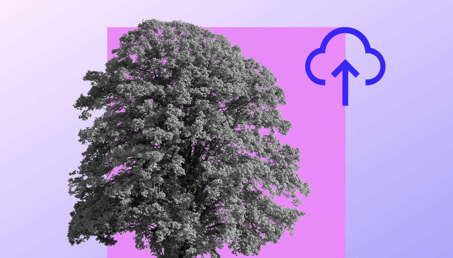 Baum auf lila Hintergrund mit blauem Wolken-Symbol.
