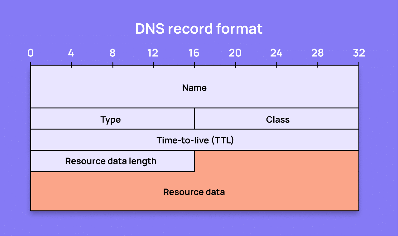 A DNS record typically consists of four main components: a domain name, record type (such as A, MX, or TXT), TTL (time to live), and the value, which could be an IP address or text.