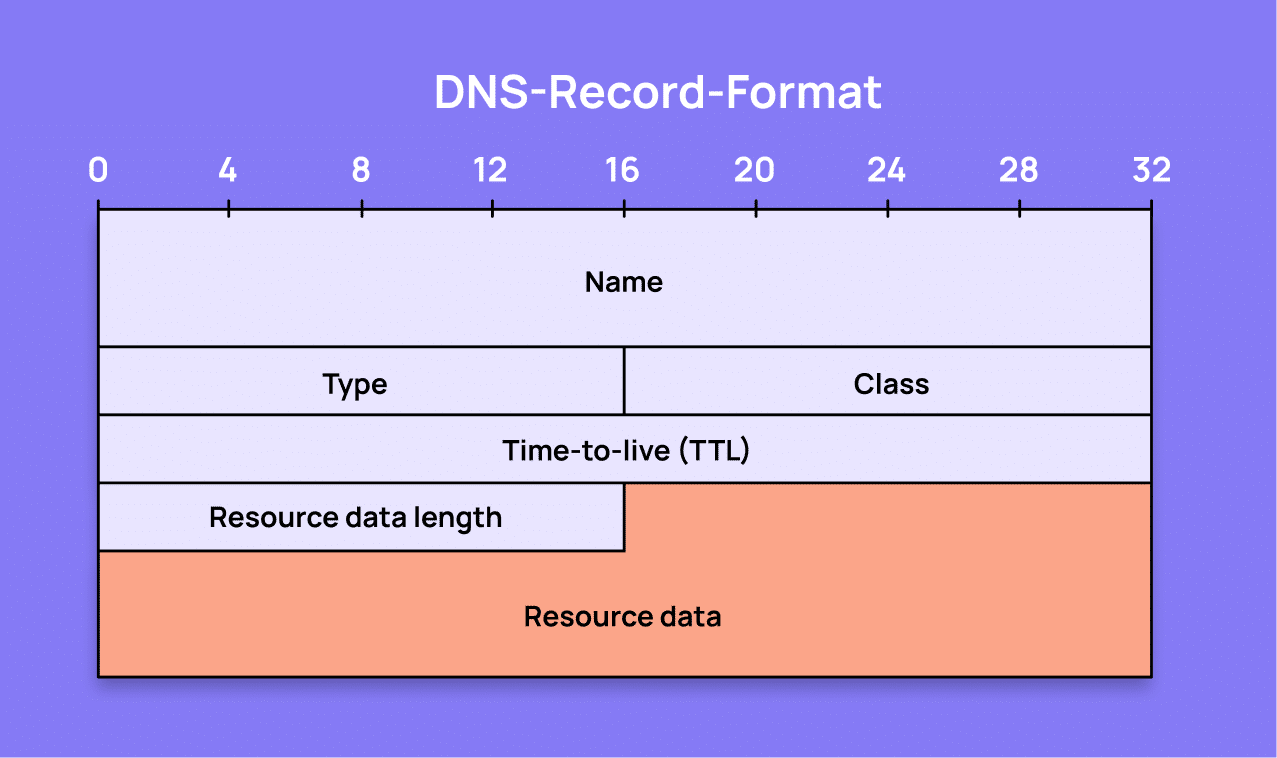 Ein DNS-Eintrag besteht in der Regel aus vier Hauptkomponenten: einer Domain, dem Eintragstyp (z. B. A, MX oder TXT), der TTL (time to live) und dem Wert, der eine IP-Adresse oder ein Text sein kann.